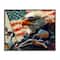Stupell Industries Patriotic Bald Eagle Framed Giclee Art